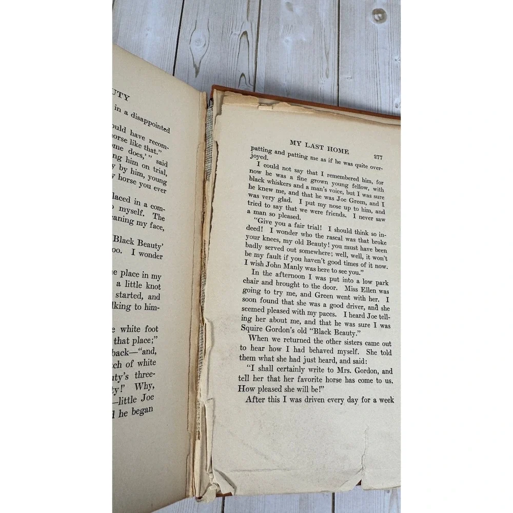 Black Beauty Anna Sewell 1911 HC Illustrated Robert L Dickey Barse Classic
